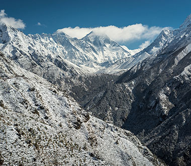 电话轰在线网页版入口