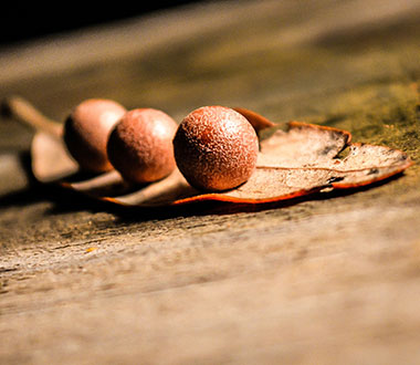 免费短信轰炸机