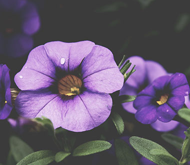 用心为您着想的手机号测压网站